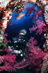 Wreck of the Aida - Big Brother Island - Red Sea. by Jim Garland 